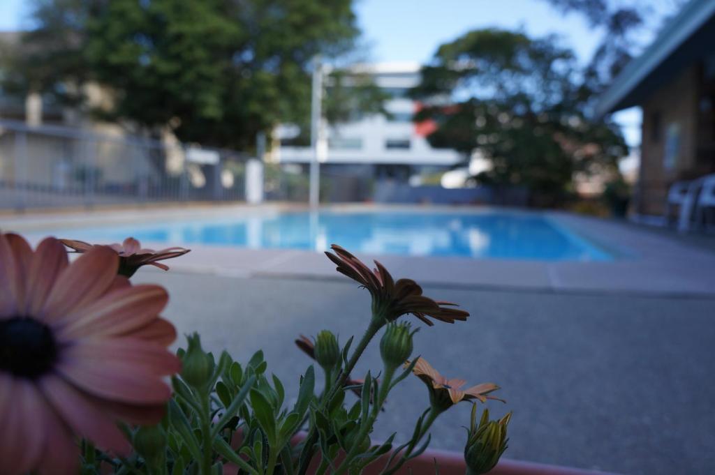 Panorama Motor Inn Νιούκασλ Εξωτερικό φωτογραφία